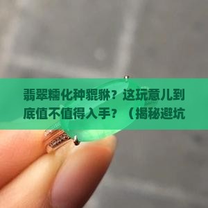 翡翠糯化种貔貅 翡翠糯化种貔貅