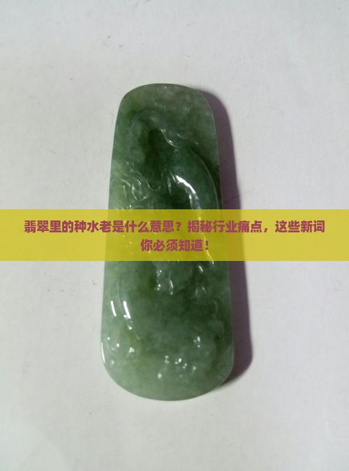 翡翠里的种水老是什么意思