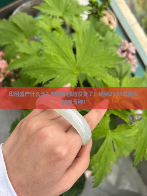 印尼盛产什么玉