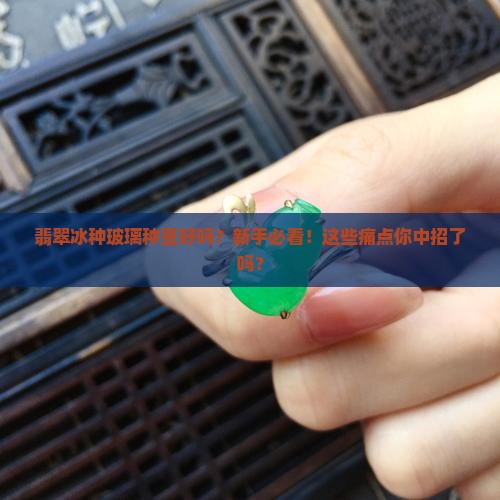 翡翠冰种玻璃种豆好吗