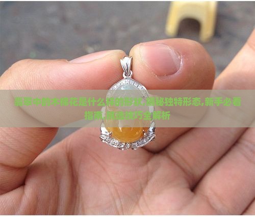 翡翠中的木棉花是什么样的形状