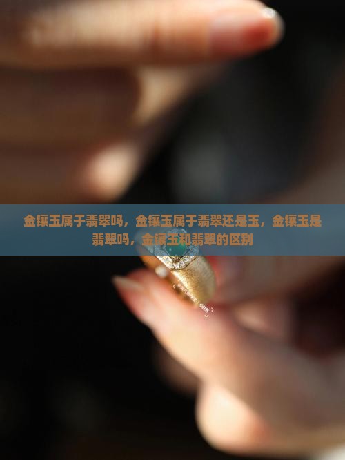 金镶玉属于翡翠