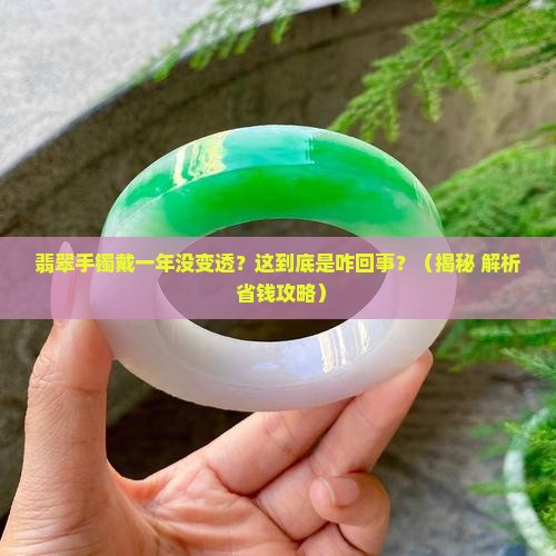翡翠手镯戴了一年不透了
