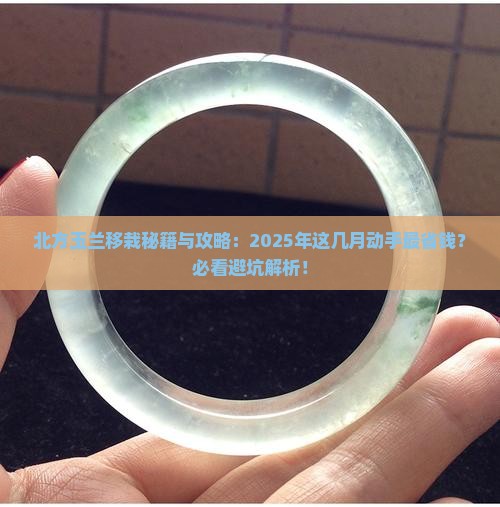 北方玉兰几月份移栽最好