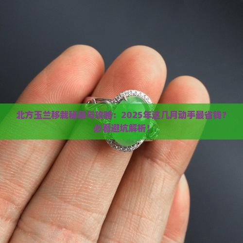 北方玉兰几月份移栽最好