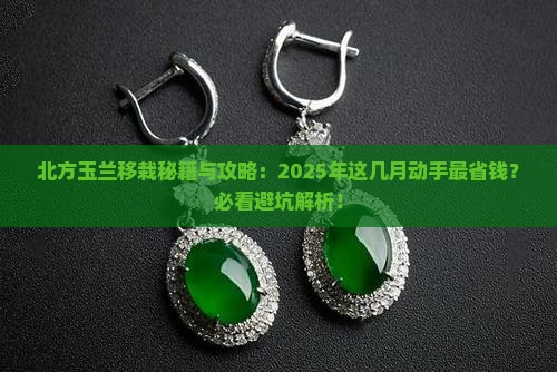 北方玉兰几月份移栽最好