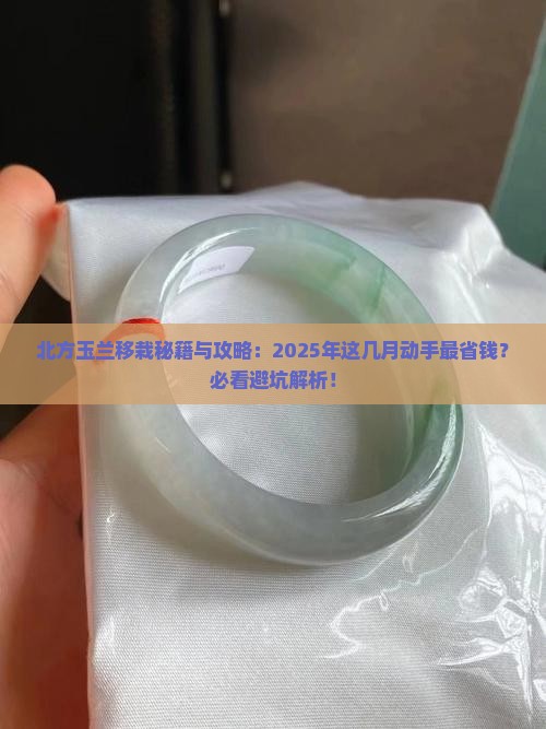 北方玉兰几月份移栽最好