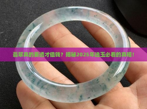 翡翠是不是要透明的才值钱
