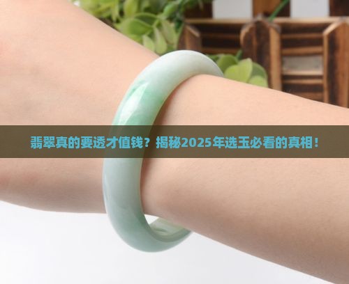翡翠是不是要透明的才值钱