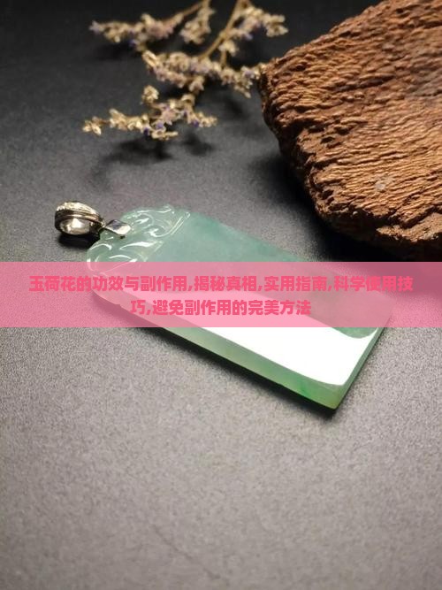 玉荷花的功效与副作用