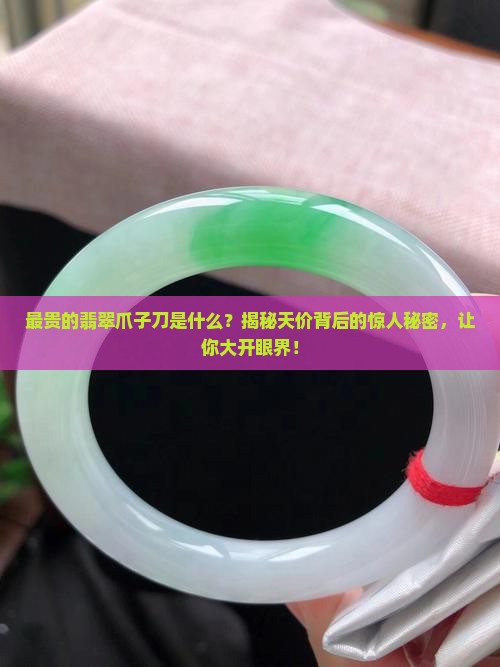 最贵的翡翠爪子刀是什么