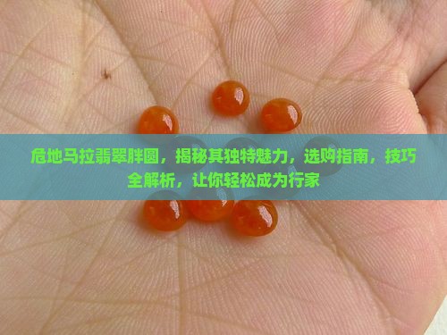 危地马拉翡翠胖圆