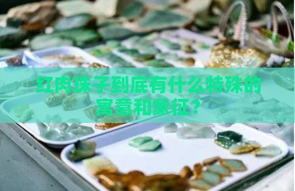 红肉珠子寓意和象征