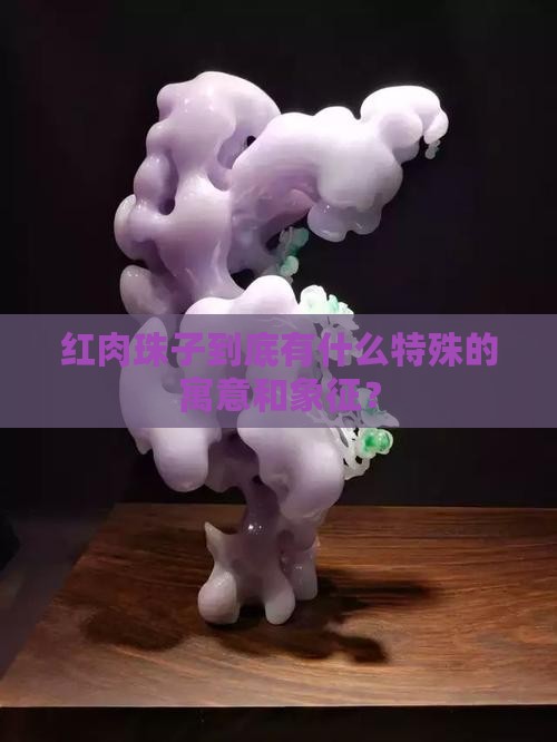 红肉珠子寓意和象征