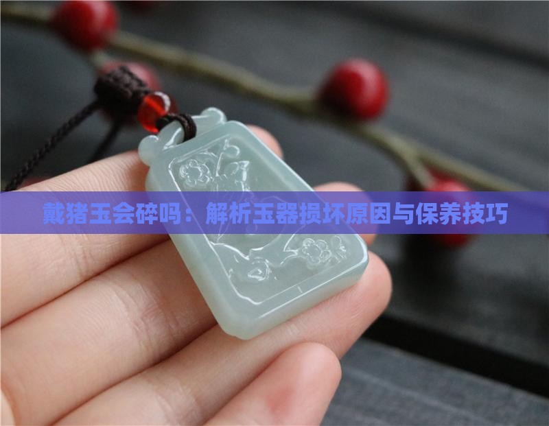 戴猪玉会碎吗
