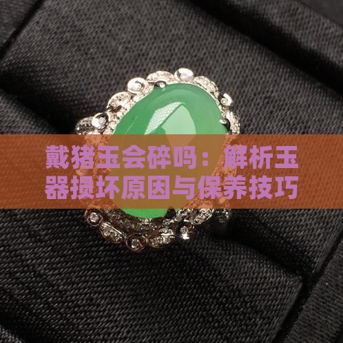 戴猪玉会碎吗