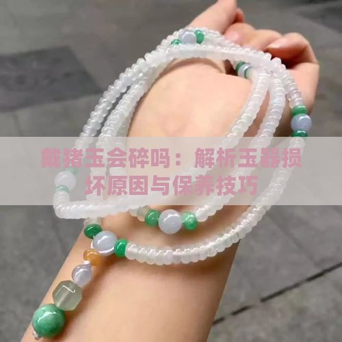 戴猪玉会碎吗