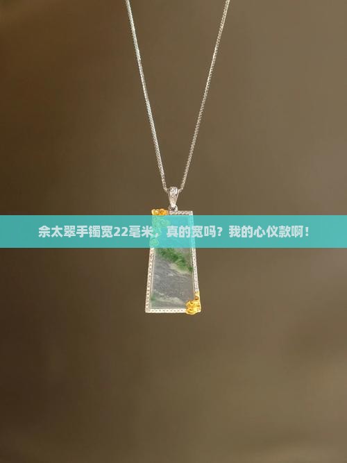 佘太翠手镯宽22宽吗