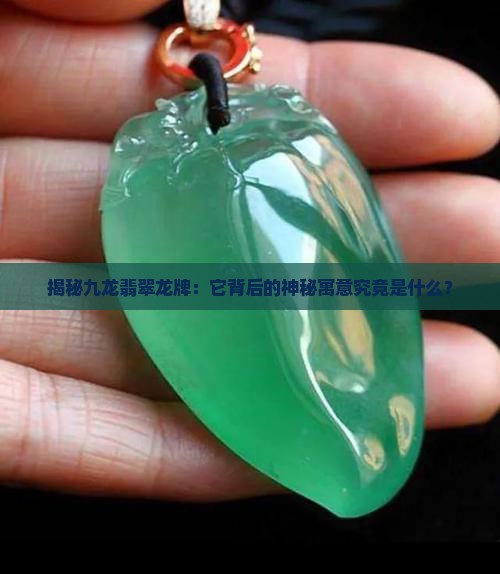 九龙翡翠龙牌寓意