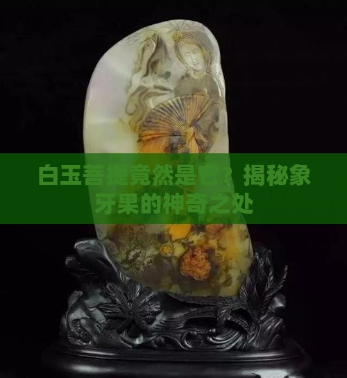 白玉菩提象牙果