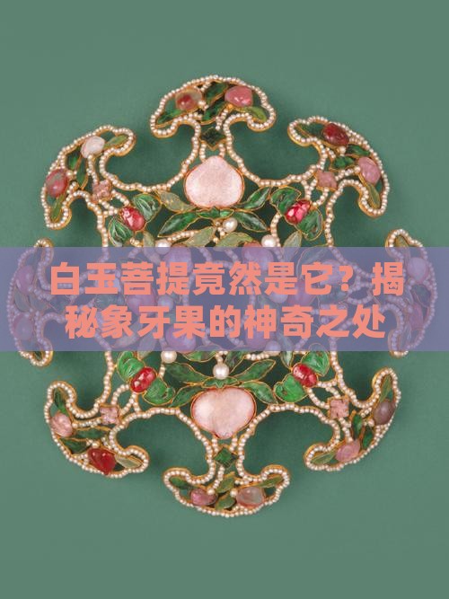 白玉菩提象牙果