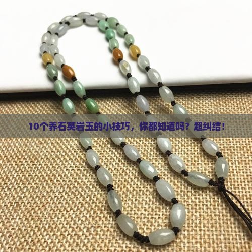石英岩玉怎么养