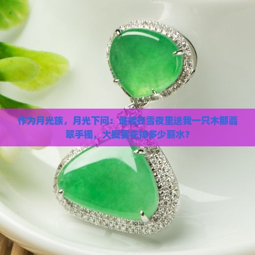 木那暴风雪翡翠手镯多少钱