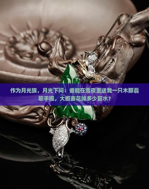 木那暴风雪翡翠手镯多少钱