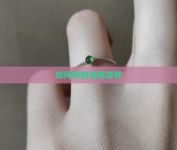 如何看翡翠变种
