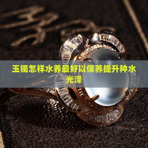 玉镯怎样水养最好