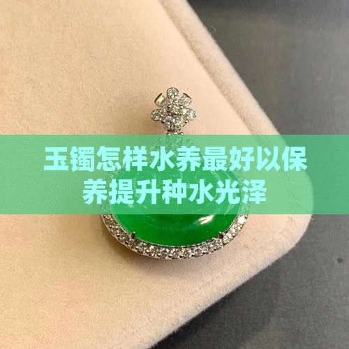 玉镯怎样水养最好