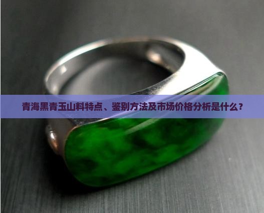 青海黑青玉山料 青海黑青玉山料