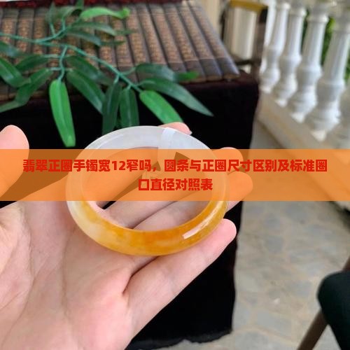 翡翠正圈手镯宽12窄吗