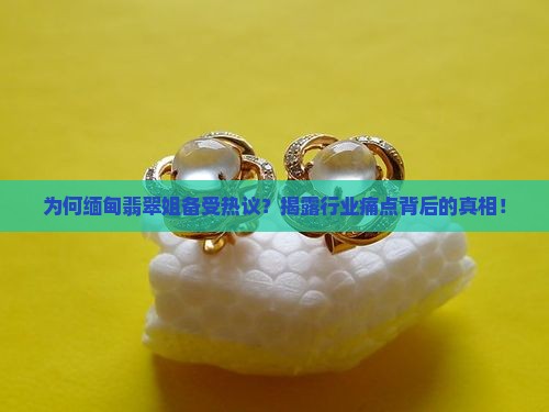缅甸翡翠姐