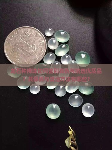 龙石种佛珠 龙石种佛珠