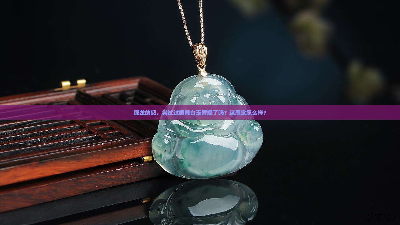 属龙适合带白玉菩提吗