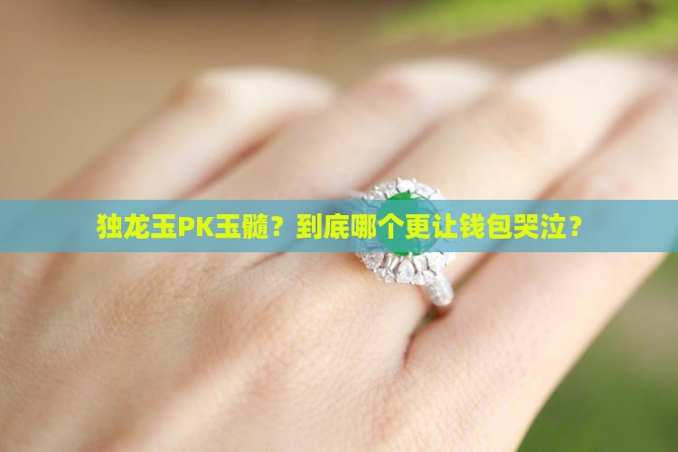 独龙玉和玉髓哪个贵