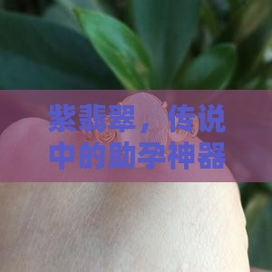 紫翡翠助孕吗
