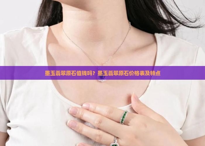 墨玉翡翠原石