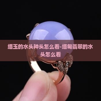 缅玉的水头