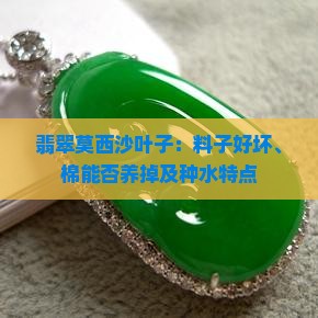 翡翠莫西沙叶子