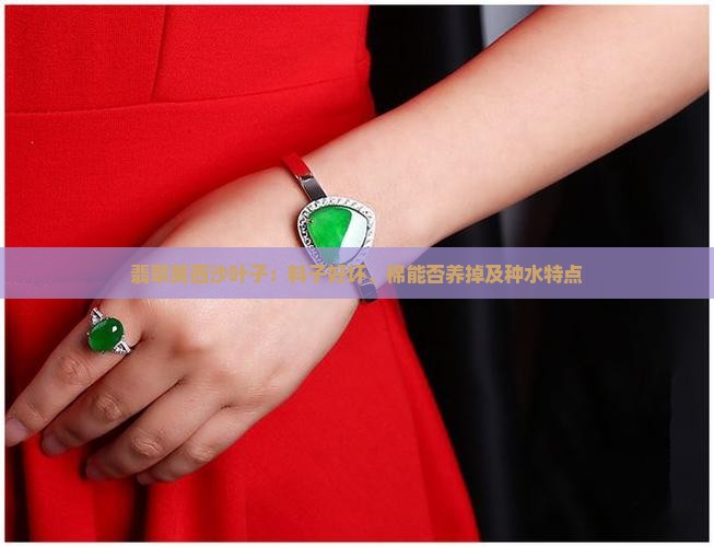 翡翠莫西沙叶子