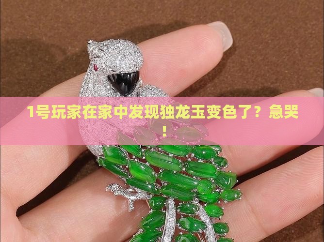 独龙玉会变种吗