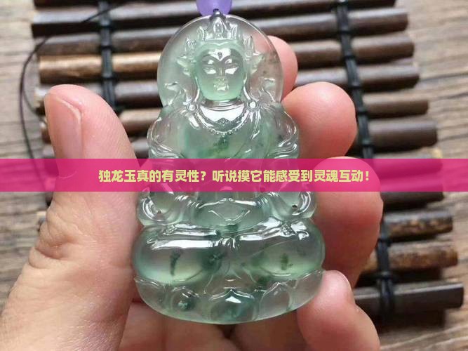 独龙玉有灵性吗