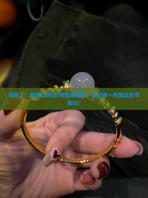 黑龙江5吨的翡翠原石