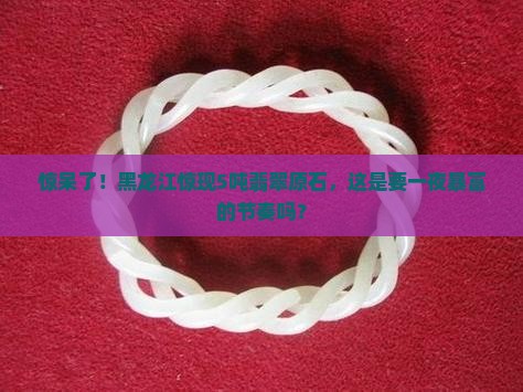 黑龙江5吨的翡翠原石