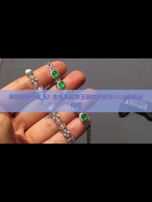 属猪适合什么玉