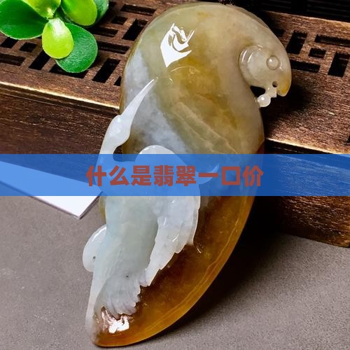什么是翡翠一口价