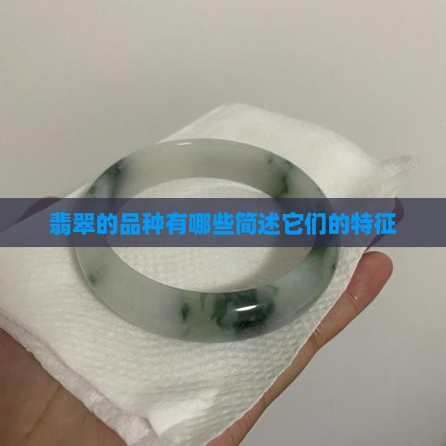 翡翠的品种有哪些简述它们的特征