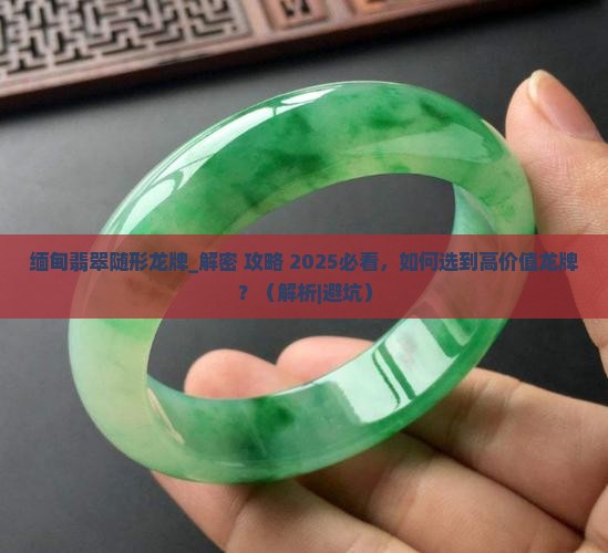 缅甸翡翠随形龙牌 缅甸翡翠随形龙牌